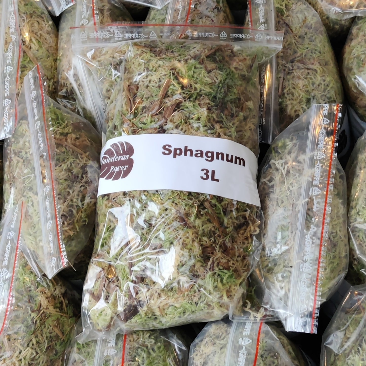 Sphagnum mose