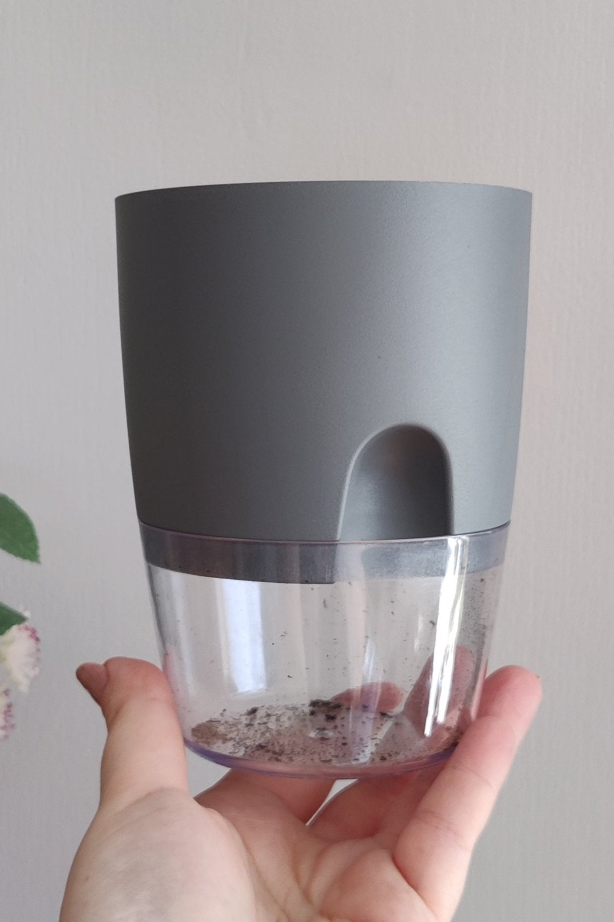 CURRENT Selvvanningspotte