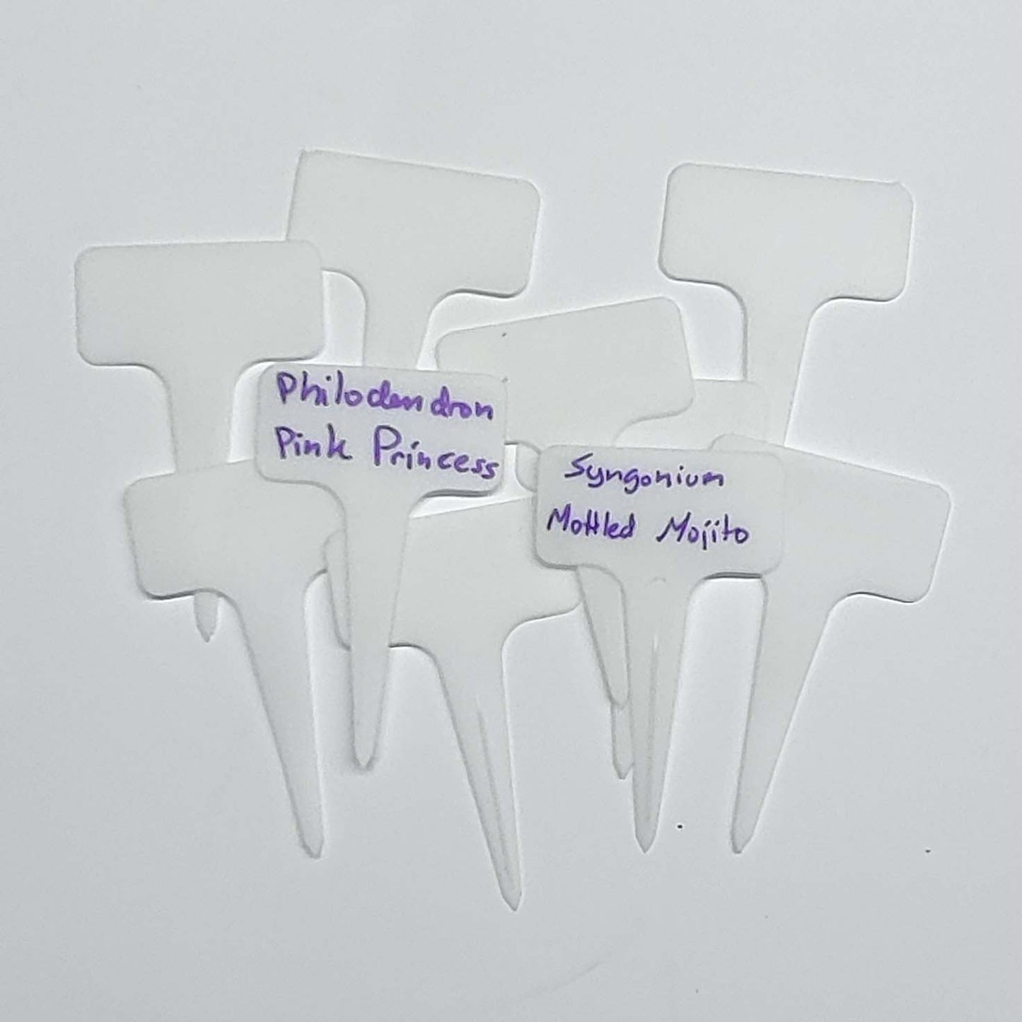 Forbedrede Planteetiketter i ti-pakning. En tykkere, høyere versjon med mer plass til å skrive.