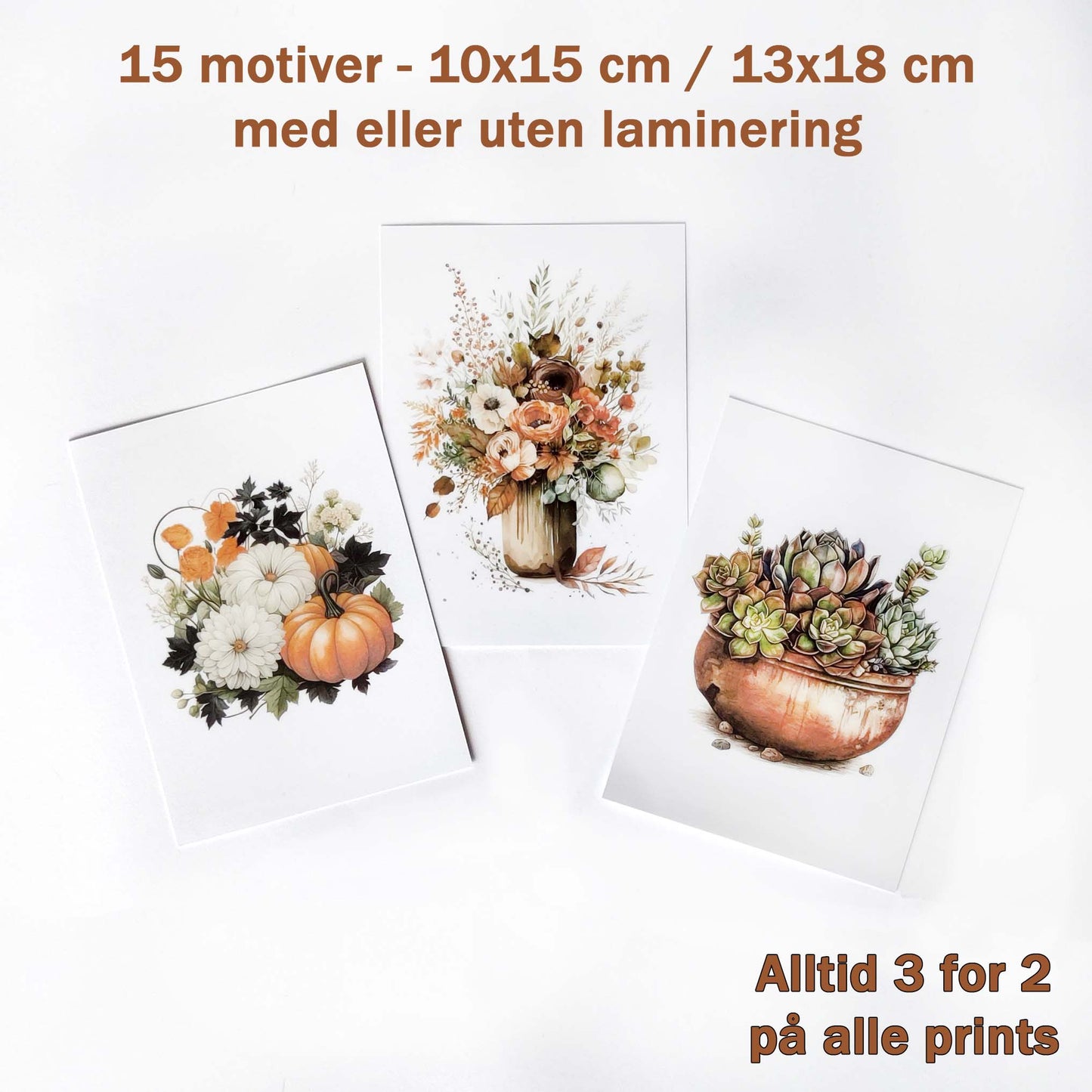 3 prints 10x15 cm med bohemsk blomsterbukett, sukkulneter og blomster med gresskar