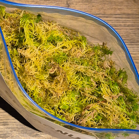 Sphagnum mose 3L
